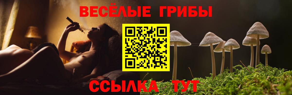 Галлюциногенные грибы мухоморы  Вход с VPN  Железногорск 